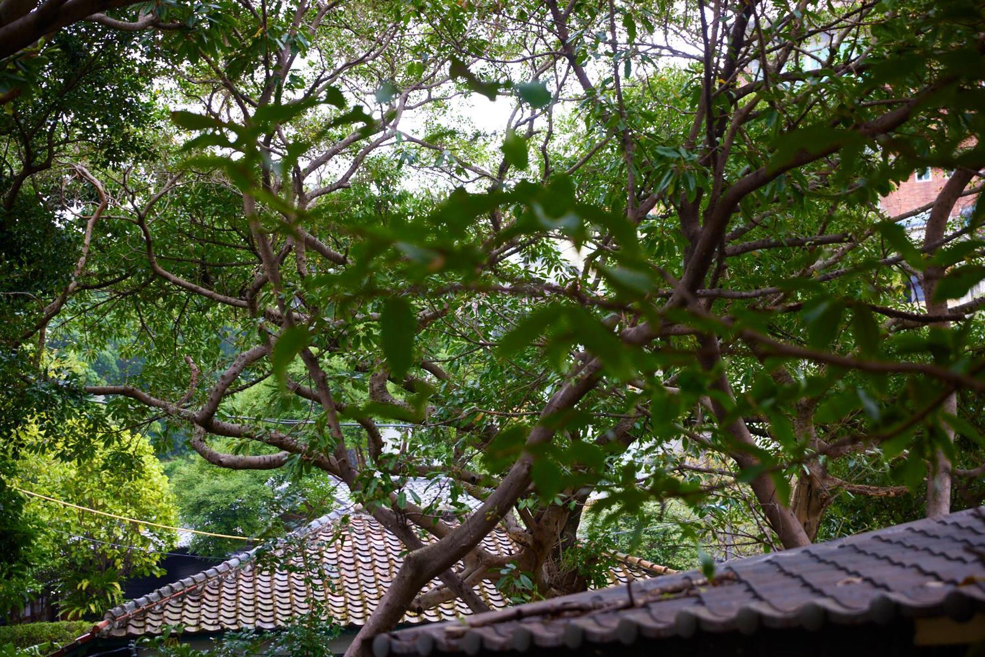 Kyokusui Hotspring Hotel Taipei Eksteriør billede